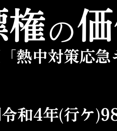 熱中対策応急キット事件